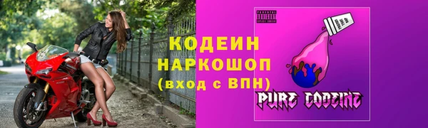 гидра Инсар