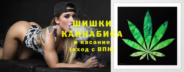 гидра Инсар