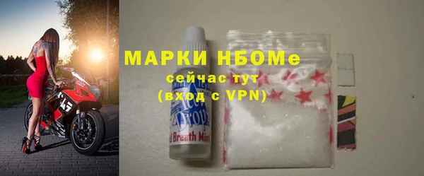 гидра Инсар