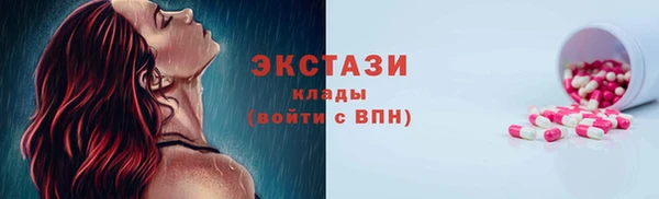 хмурый Инта