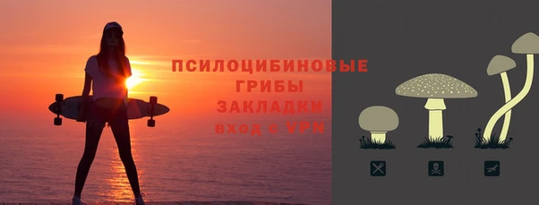 хмурый Инта