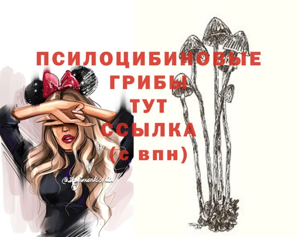 гидра Инсар