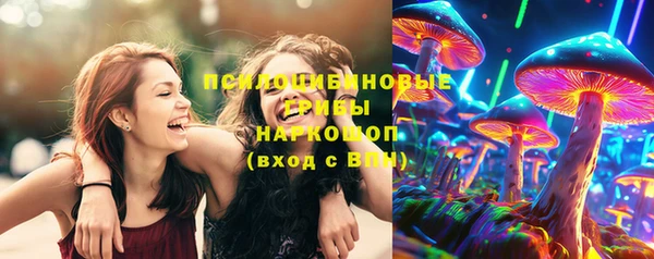 хмурый Инта
