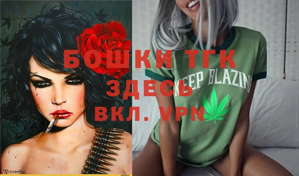 гидра Инсар