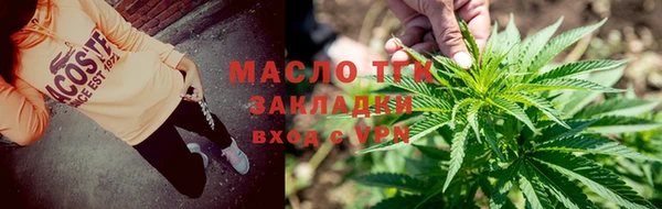 хмурый Инта