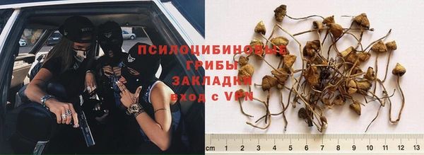 ECSTASY Орехово-Зуево